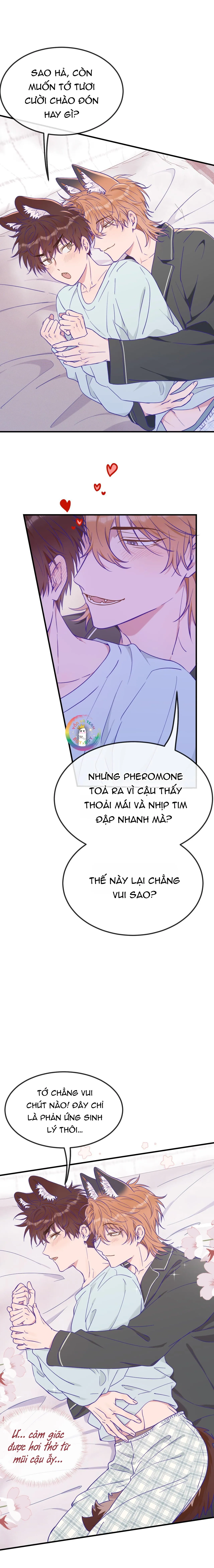 Cún Con Nói Dối Sẽ Bị Ăn Thịt Chapter 36 Trang 11