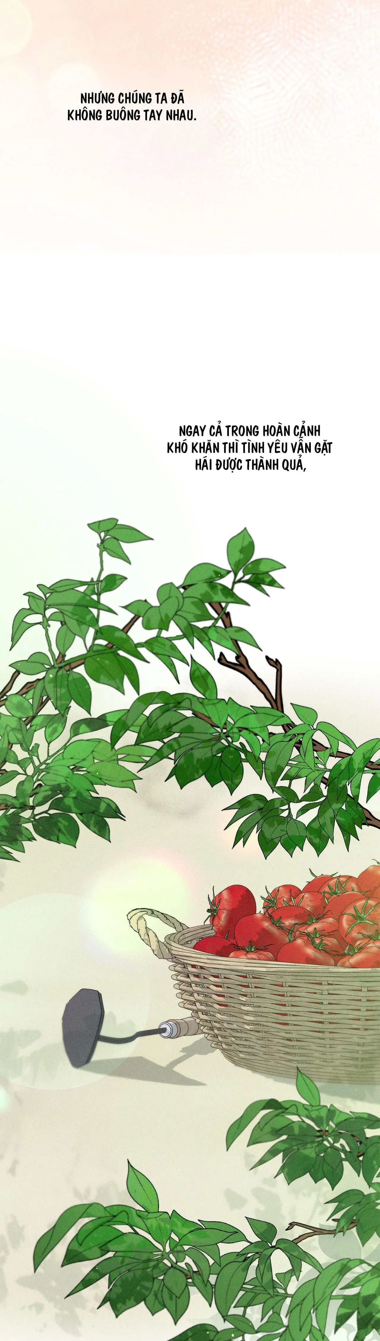 CÙNG NÂNG TẠ NHÉ Chapter 38 Trang 33