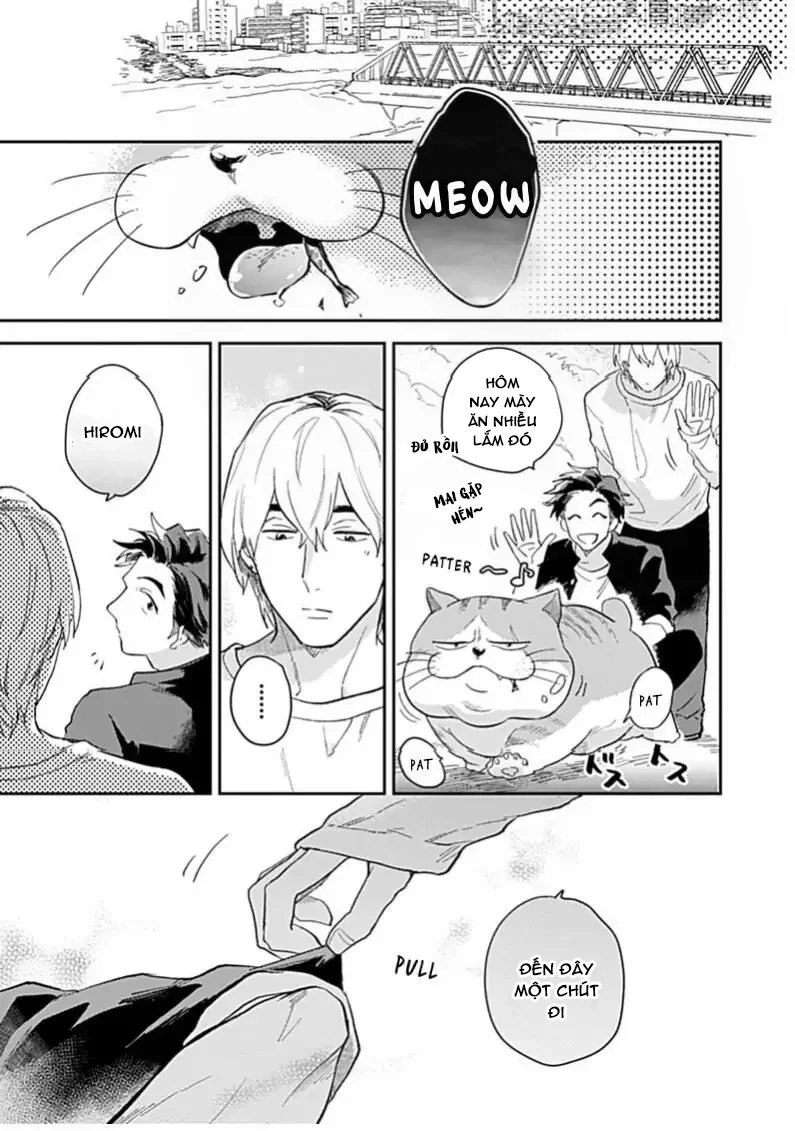 Cuộc Đại Chiến Romeo Và Juliet Ở Ven Sông Chapter 3 Trang 13