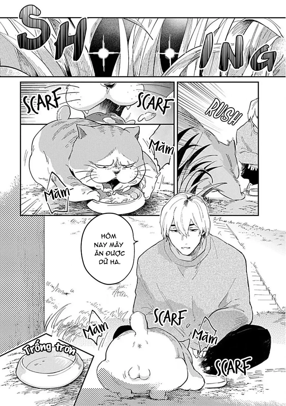 Cuộc Đại Chiến Romeo Và Juliet Ở Ven Sông Chapter 1 Trang 3