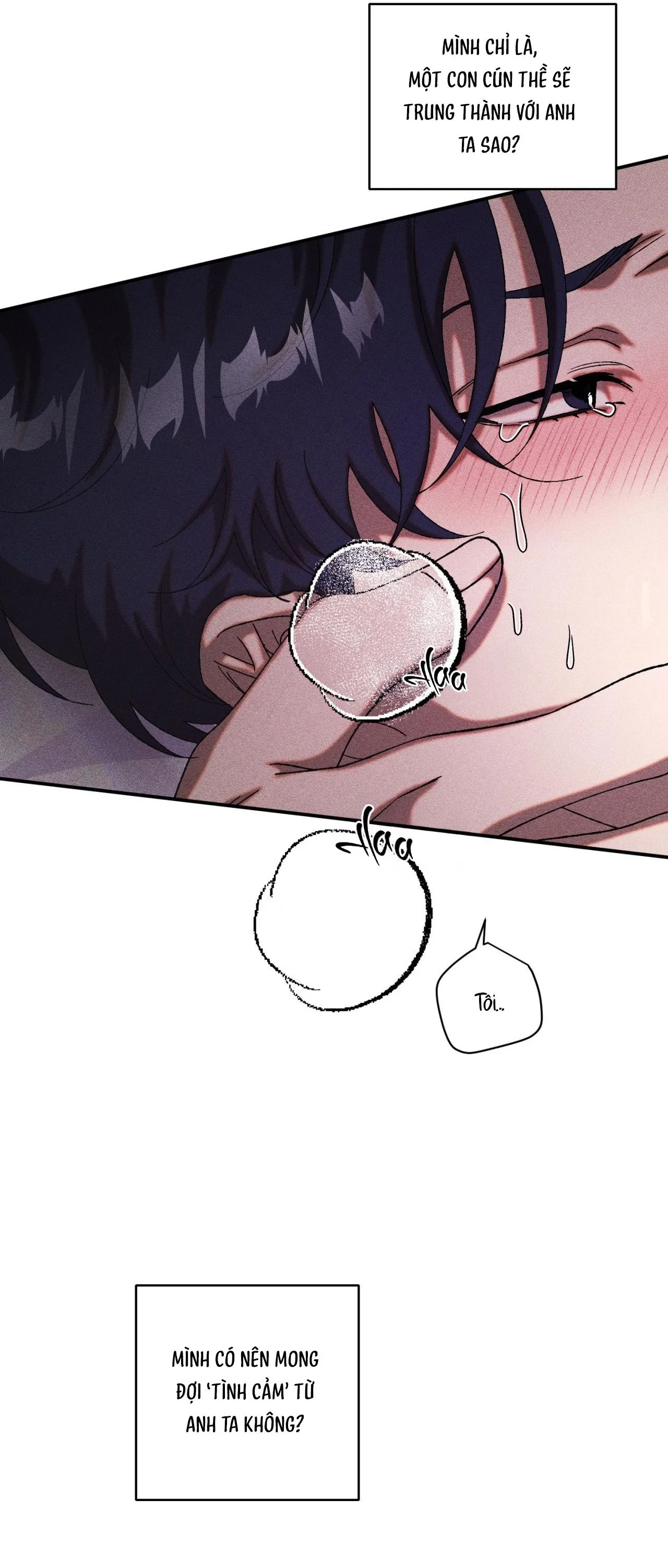 CUỘC GIAO DỊCH Chapter 60 Trang 20