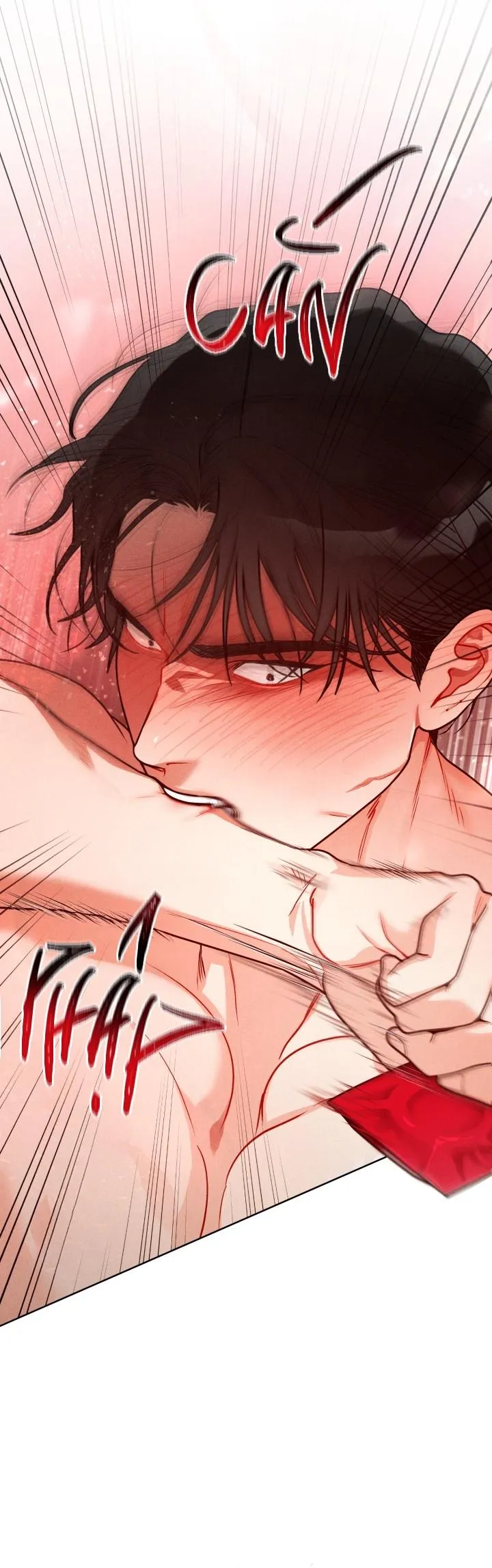 CUỘC GỌI ẨN DANH Chapter 27 Trang 27