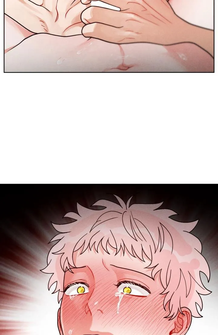 CUỘC GỌI BÍ MẬT Chapter 8 Trang 12