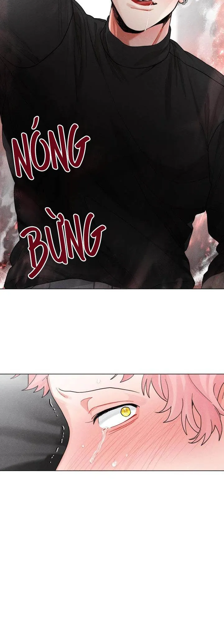 CUỘC GỌI BÍ MẬT Chapter 1 Trang 30