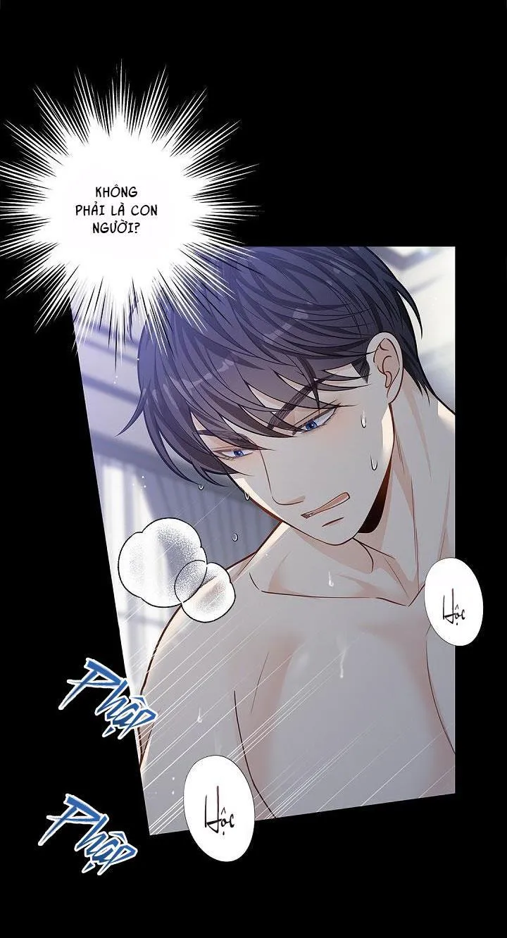 CUỘC HÔN NHÂN ĐÁNH CẮP CỦA HỒ LY Chapter 6 Trang 43