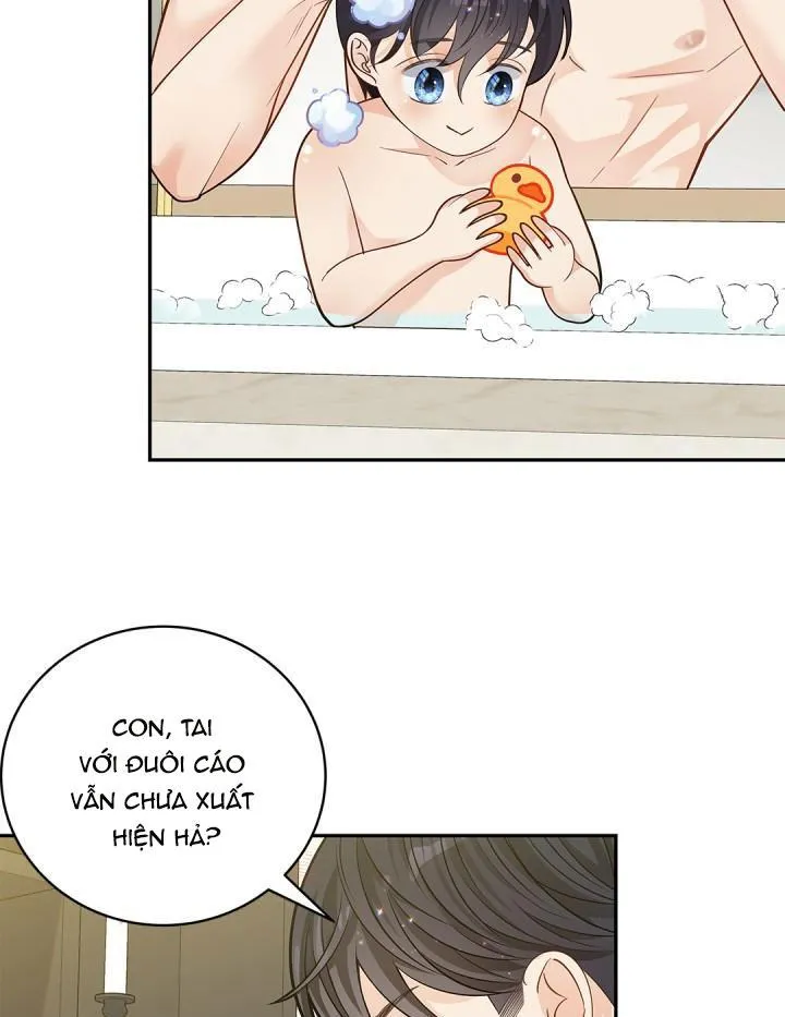 CUỘC HÔN NHÂN ĐÁNH CẮP CỦA HỒ LY Chapter 13 Trang 14