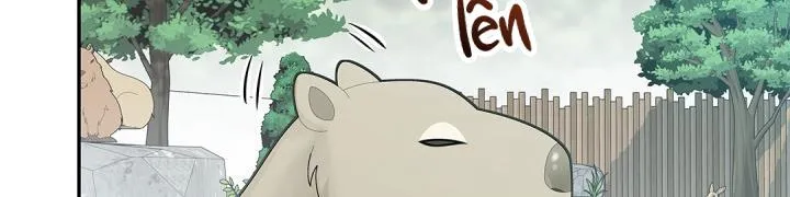 CUỘC HÔN NHÂN ĐÁNH CẮP CỦA HỒ LY Chapter 14 Trang 61