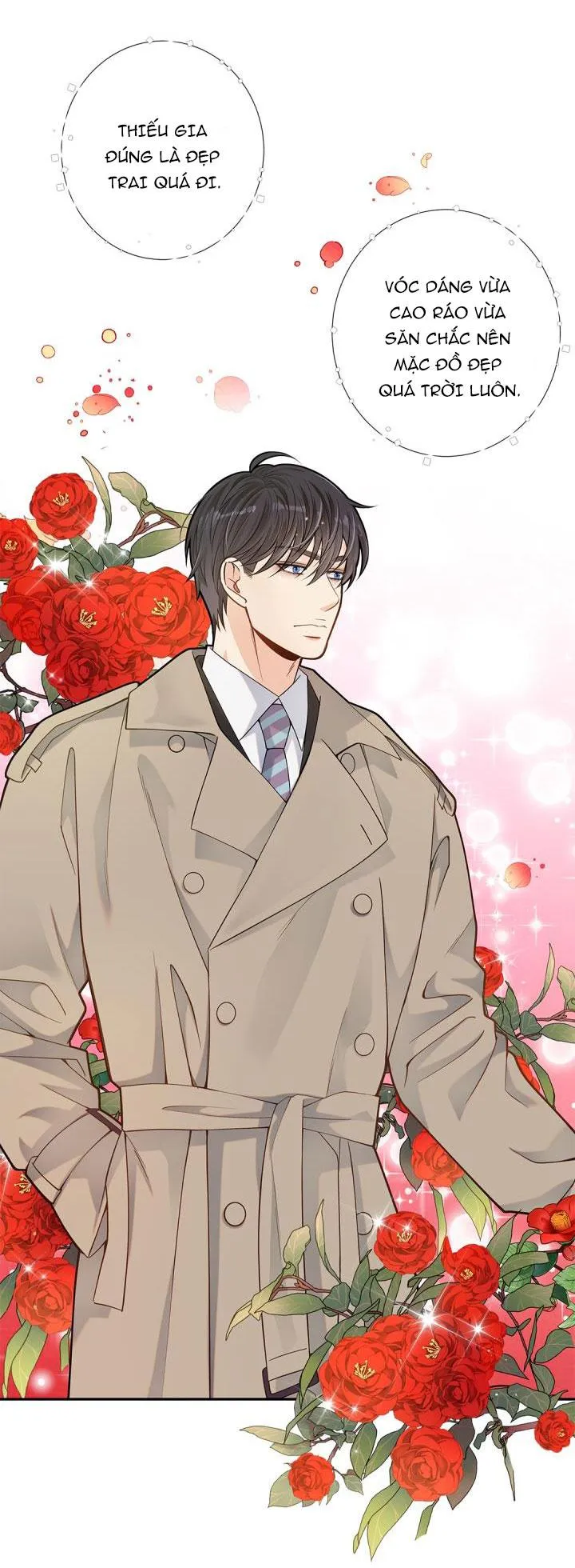 CUỘC HÔN NHÂN ĐÁNH CẮP CỦA HỒ LY Chapter 16 Trang 7
