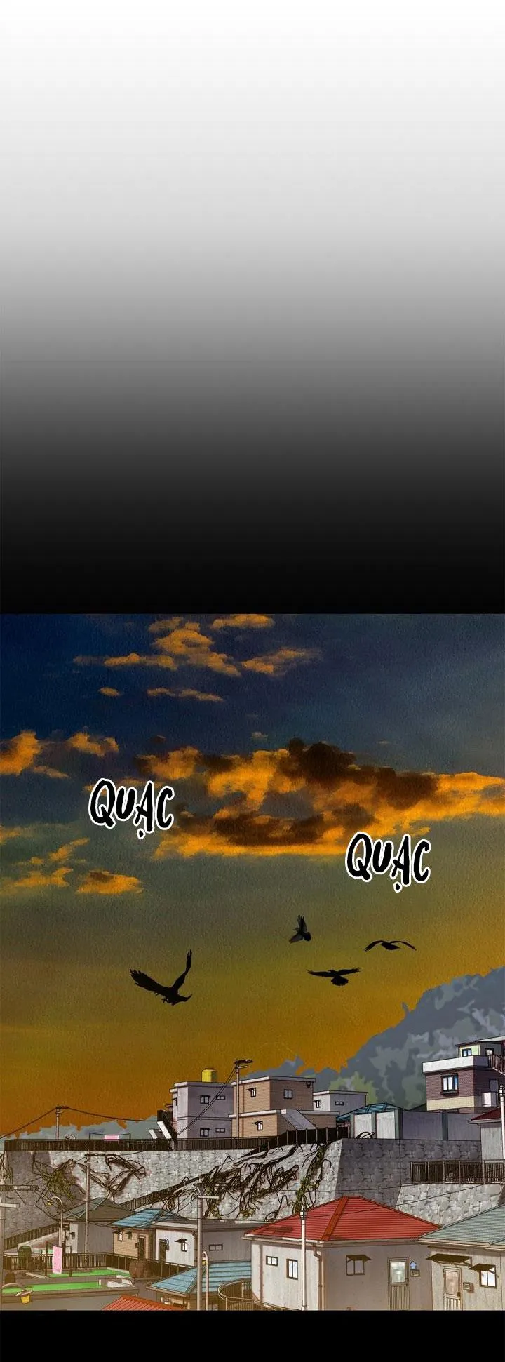 CUỘC HÔN NHÂN ĐÁNH CẮP CỦA HỒ LY Chapter 16 Trang 22