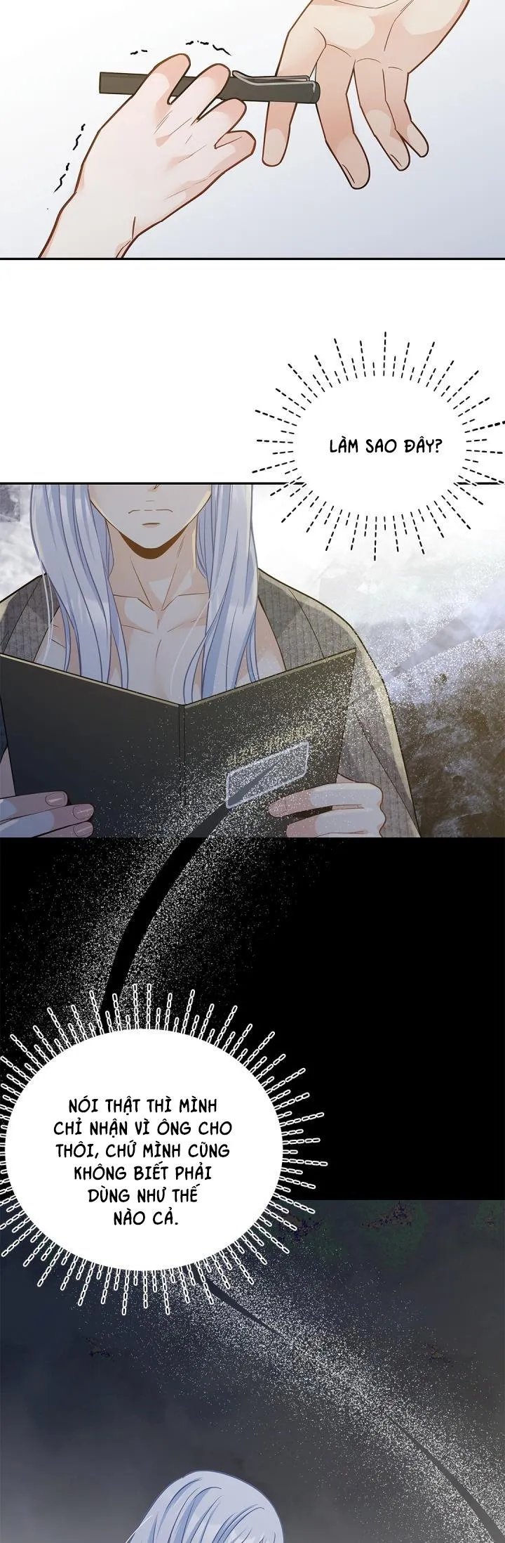 CUỘC HÔN NHÂN ĐÁNH CẮP CỦA HỒ LY Chapter 19 Trang 5