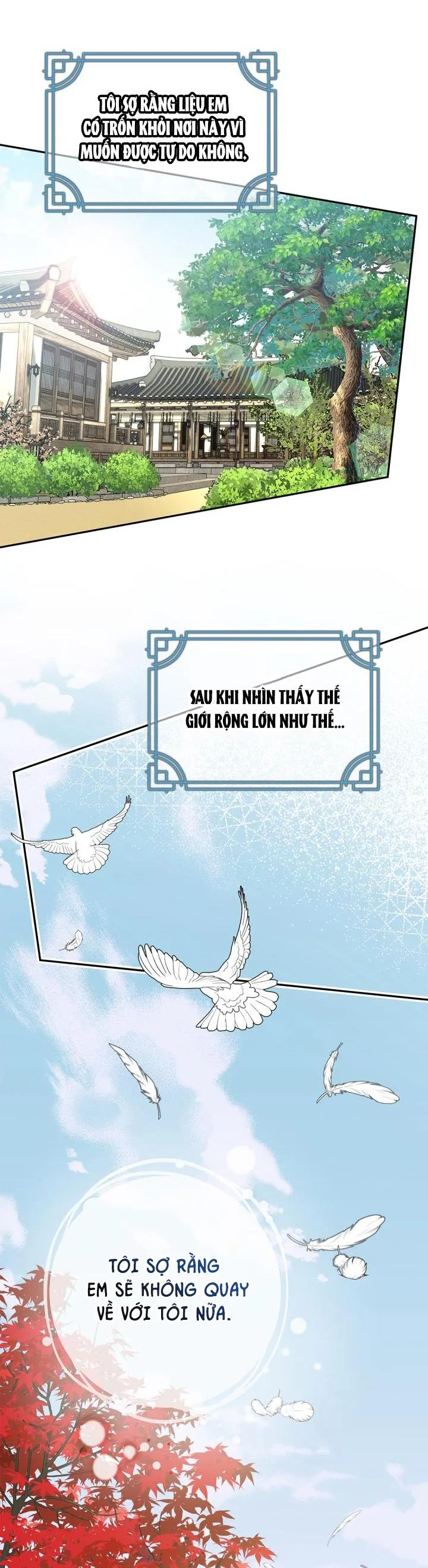 CUỘC HÔN NHÂN ĐÁNH CẮP CỦA HỒ LY Chapter 28 Trang 5