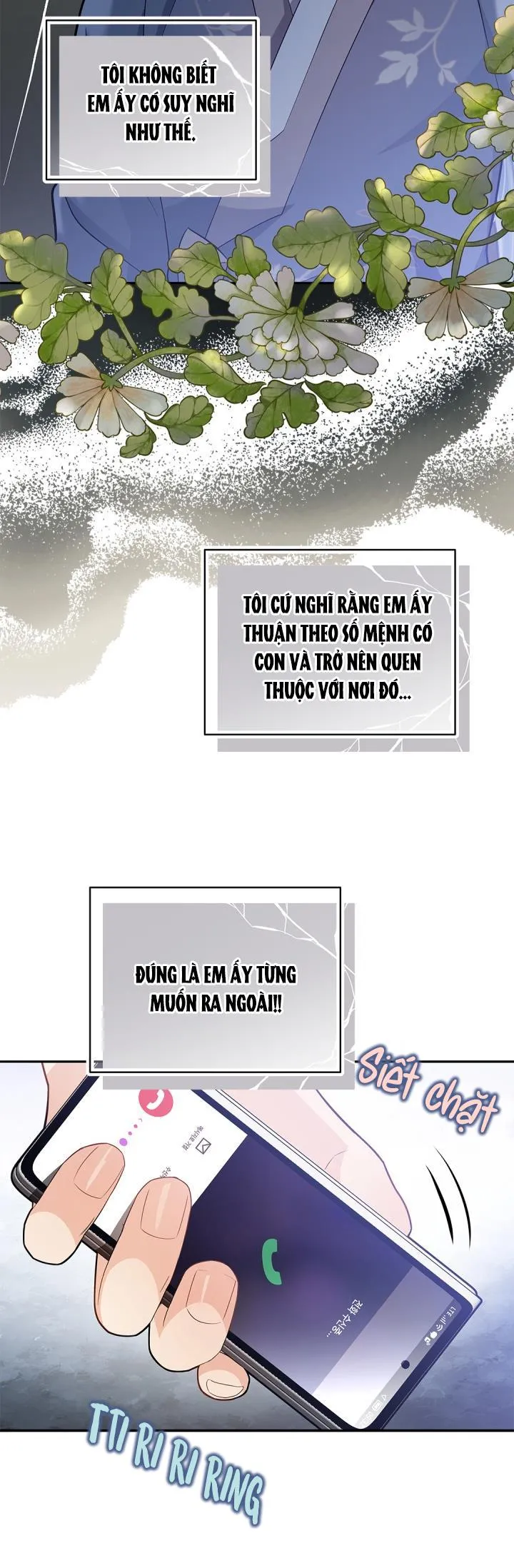 CUỘC HÔN NHÂN ĐÁNH CẮP CỦA HỒ LY Chapter 29 Trang 6