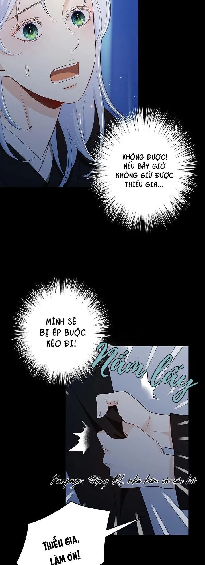 CUỘC HÔN NHÂN ĐÁNH CẮP CỦA HỒ LY Chapter 1 Trang 19