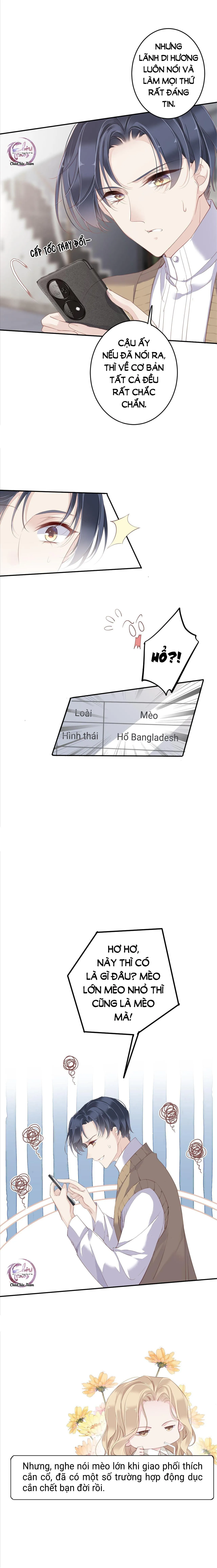 Cuộc Mai Mối Vượt Giống Loài Chapter 1 Trang 8