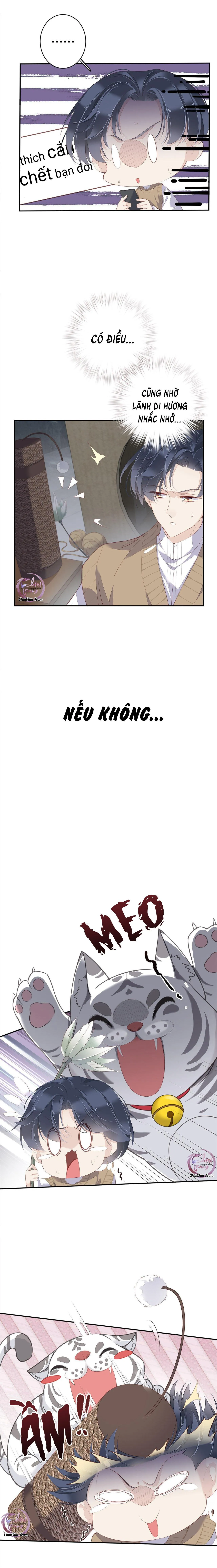 Cuộc Mai Mối Vượt Giống Loài Chapter 1 Trang 9