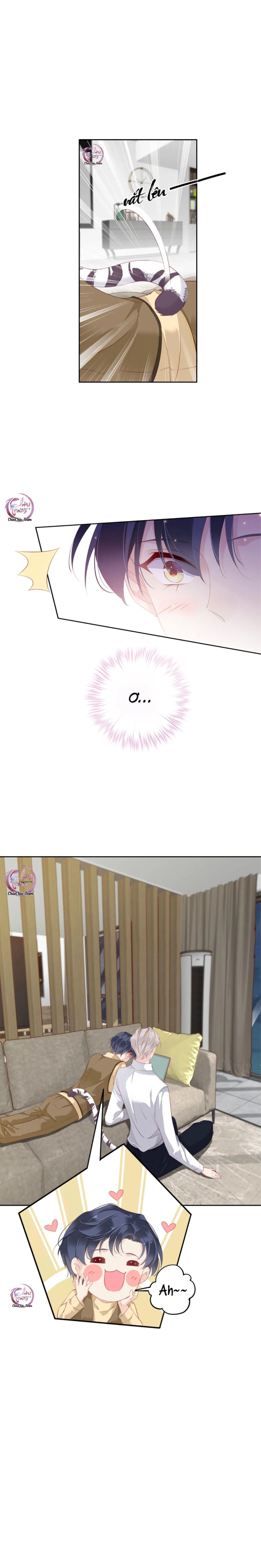 Cuộc Mai Mối Vượt Giống Loài Chapter 6 Trang 4