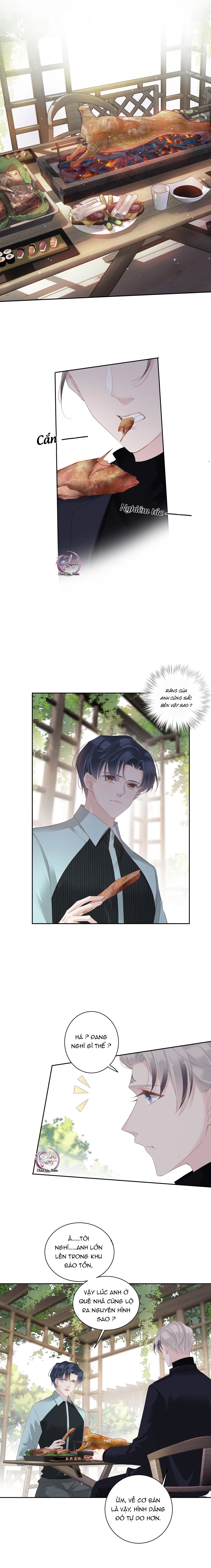 Cuộc Mai Mối Vượt Giống Loài Chapter 16 Trang 7