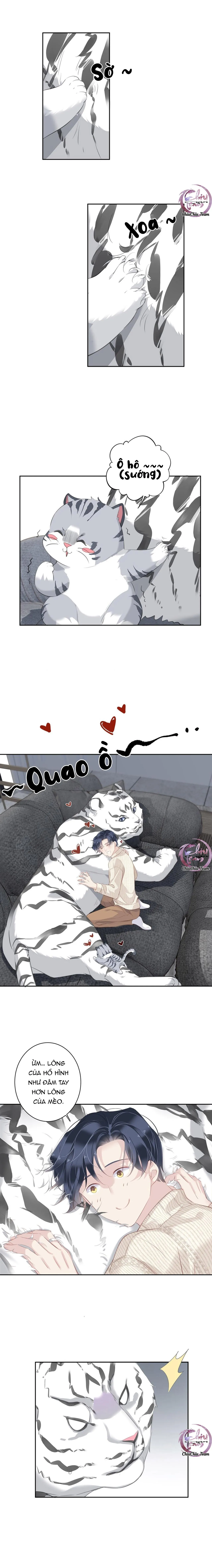 Cuộc Mai Mối Vượt Giống Loài Chapter 35 Trang 7