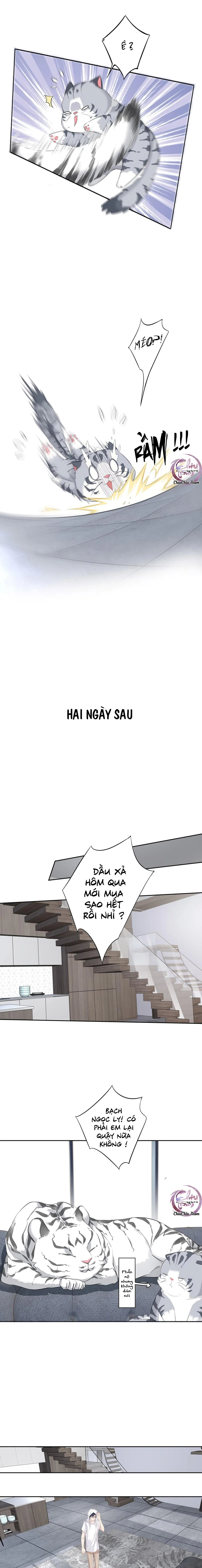 Cuộc Mai Mối Vượt Giống Loài Chapter 35 Trang 8