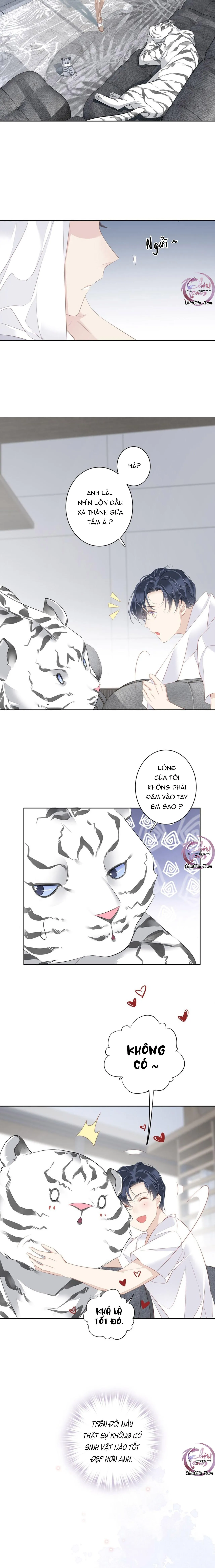 Cuộc Mai Mối Vượt Giống Loài Chapter 35 Trang 9