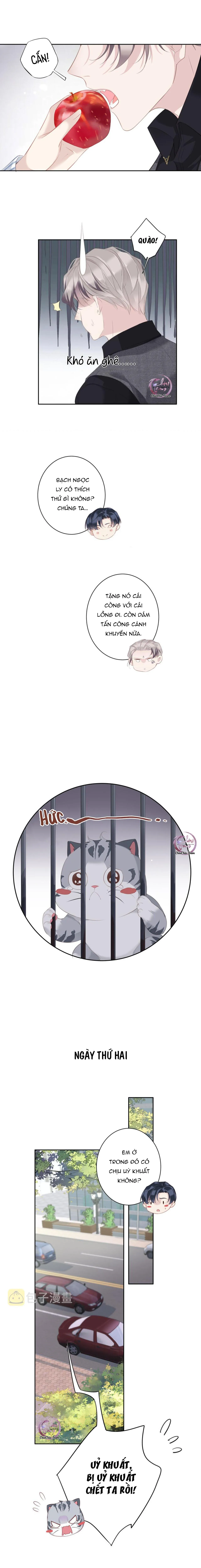Cuộc Mai Mối Vượt Giống Loài Chapter 37 Trang 3