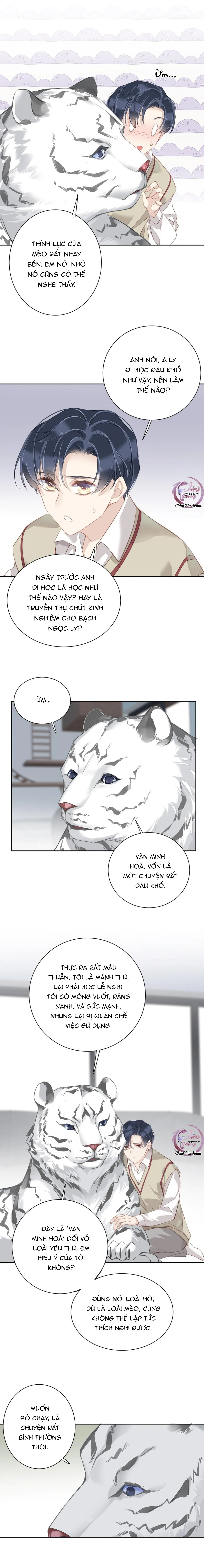 Cuộc Mai Mối Vượt Giống Loài Chapter 48 Trang 6