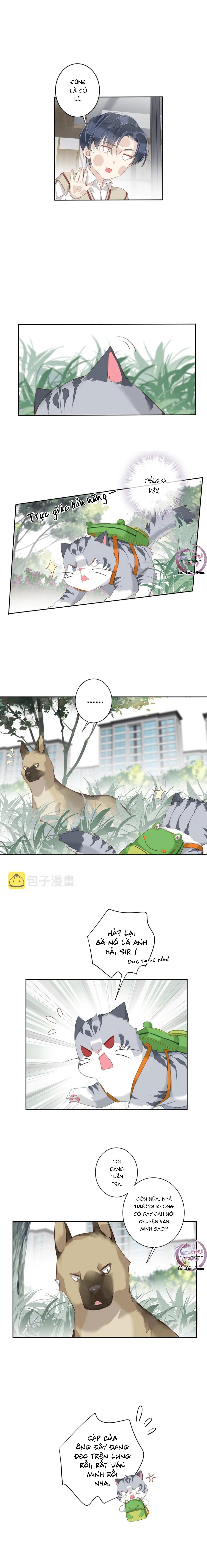 Cuộc Mai Mối Vượt Giống Loài Chapter 49 Trang 6