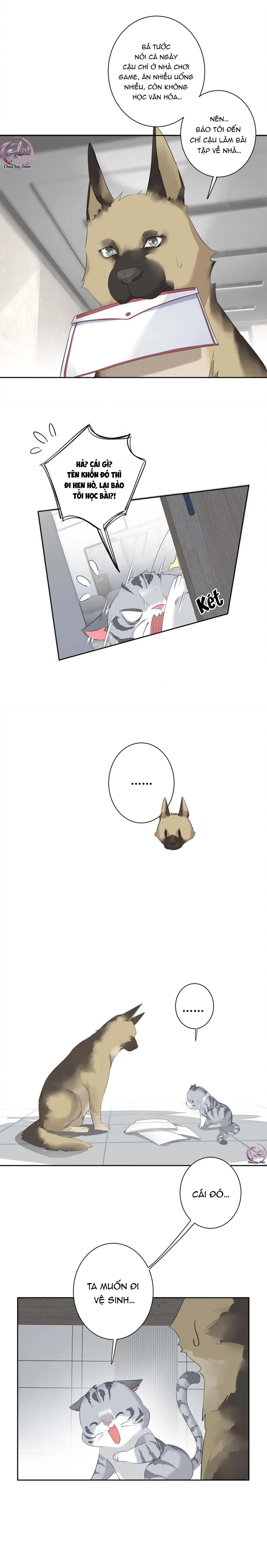 Cuộc Mai Mối Vượt Giống Loài Chapter 54 Trang 6