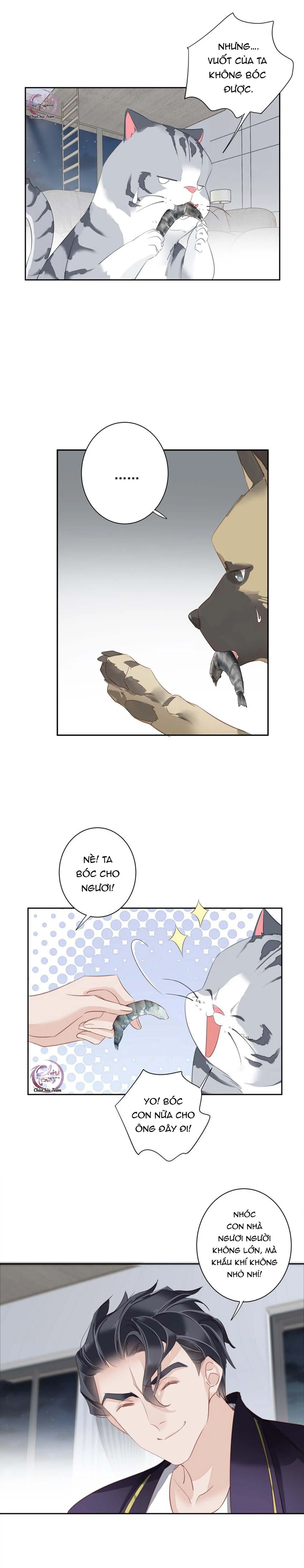 Cuộc Mai Mối Vượt Giống Loài Chapter 54 Trang 8