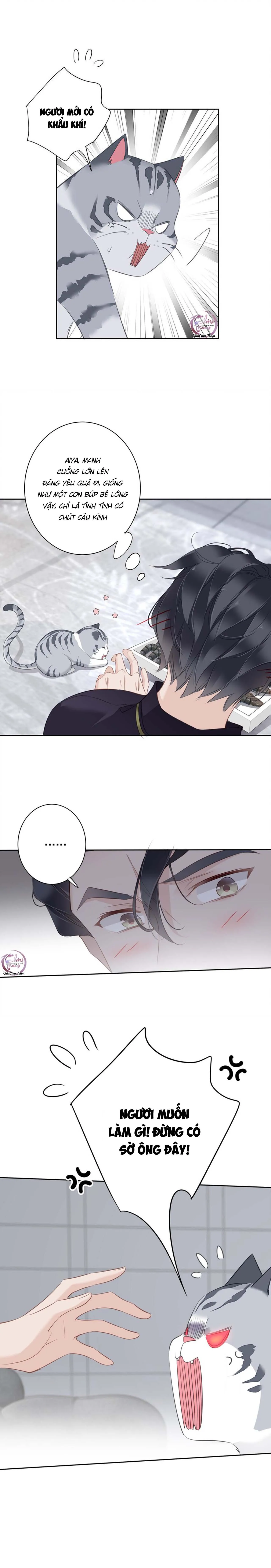 Cuộc Mai Mối Vượt Giống Loài Chapter 54 Trang 9