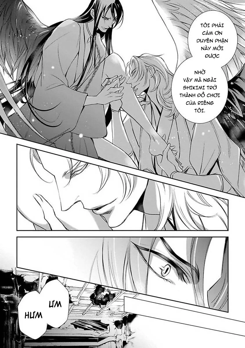 Cuộc Săn Thê Của Thiên Nga Chapter 2 Trang 10