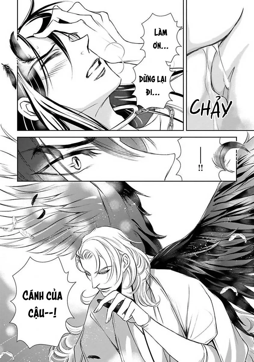 Cuộc Săn Thê Của Thiên Nga Chapter 2 Trang 12