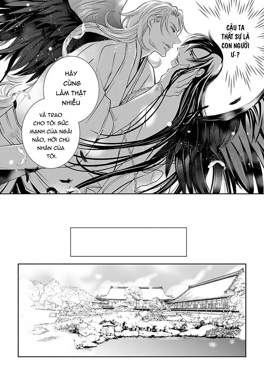 Cuộc Săn Thê Của Thiên Nga Chapter 2 Trang 18