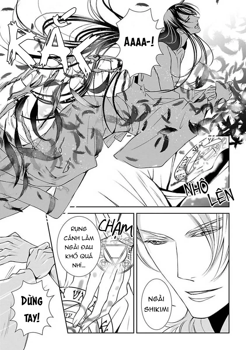 Cuộc Săn Thê Của Thiên Nga Chapter 3 Trang 10