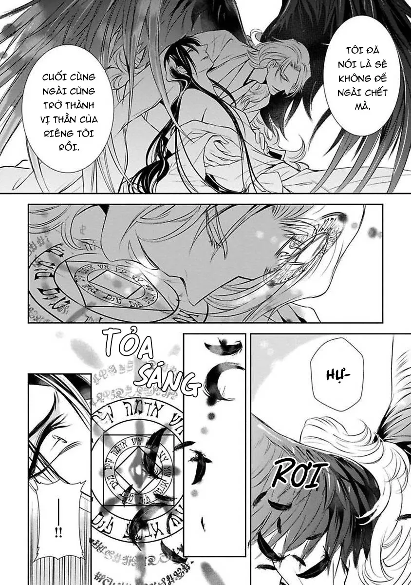 Cuộc Săn Thê Của Thiên Nga Chapter 3 Trang 13