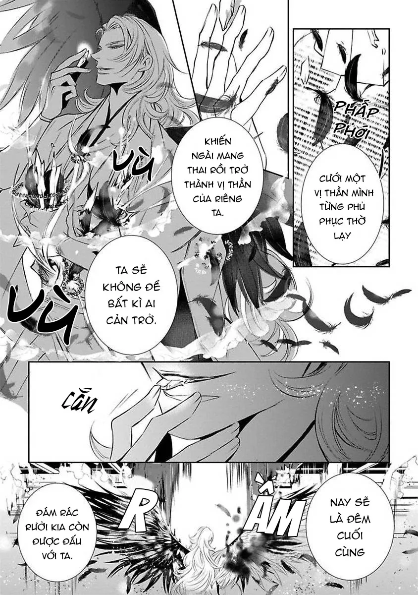 Cuộc Săn Thê Của Thiên Nga Chapter 3 Trang 20