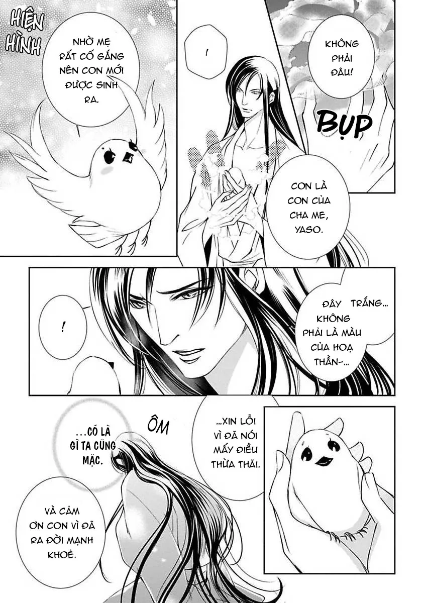 Cuộc Săn Thê Của Thiên Nga Chapter 3 Trang 22