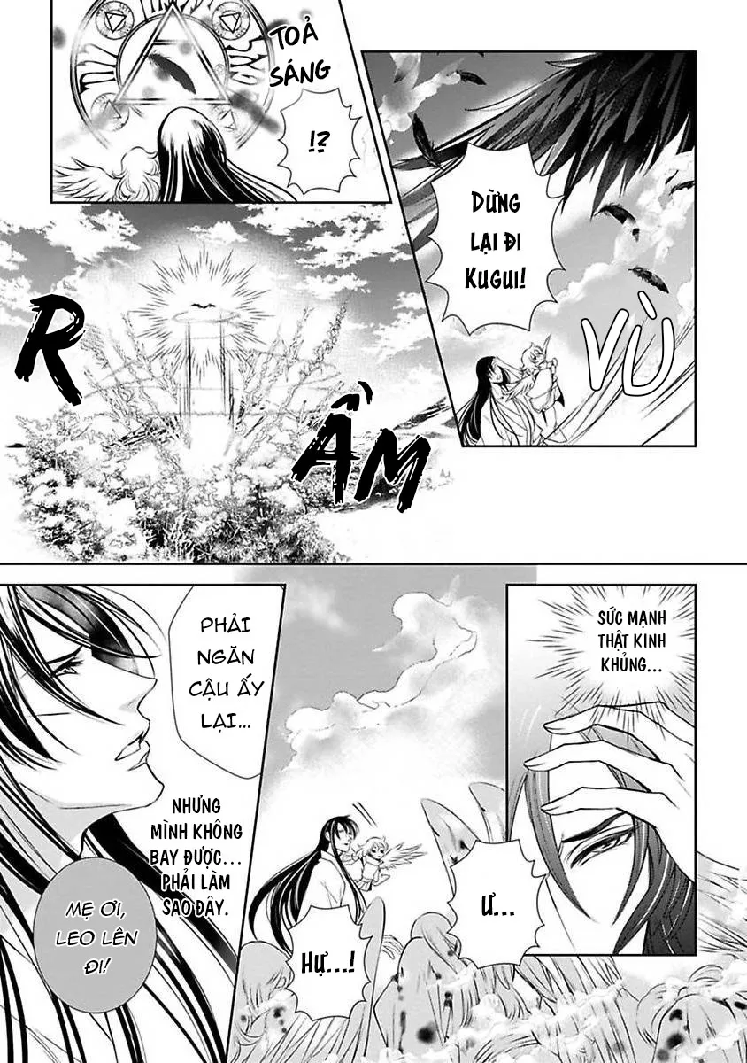 Cuộc Săn Thê Của Thiên Nga Chapter 4 Trang 5