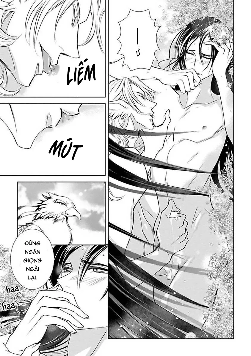 Cuộc Săn Thê Của Thiên Nga Chapter 4 Trang 29
