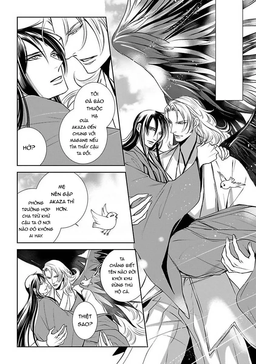 Cuộc Săn Thê Của Thiên Nga Chapter 5 Trang 12