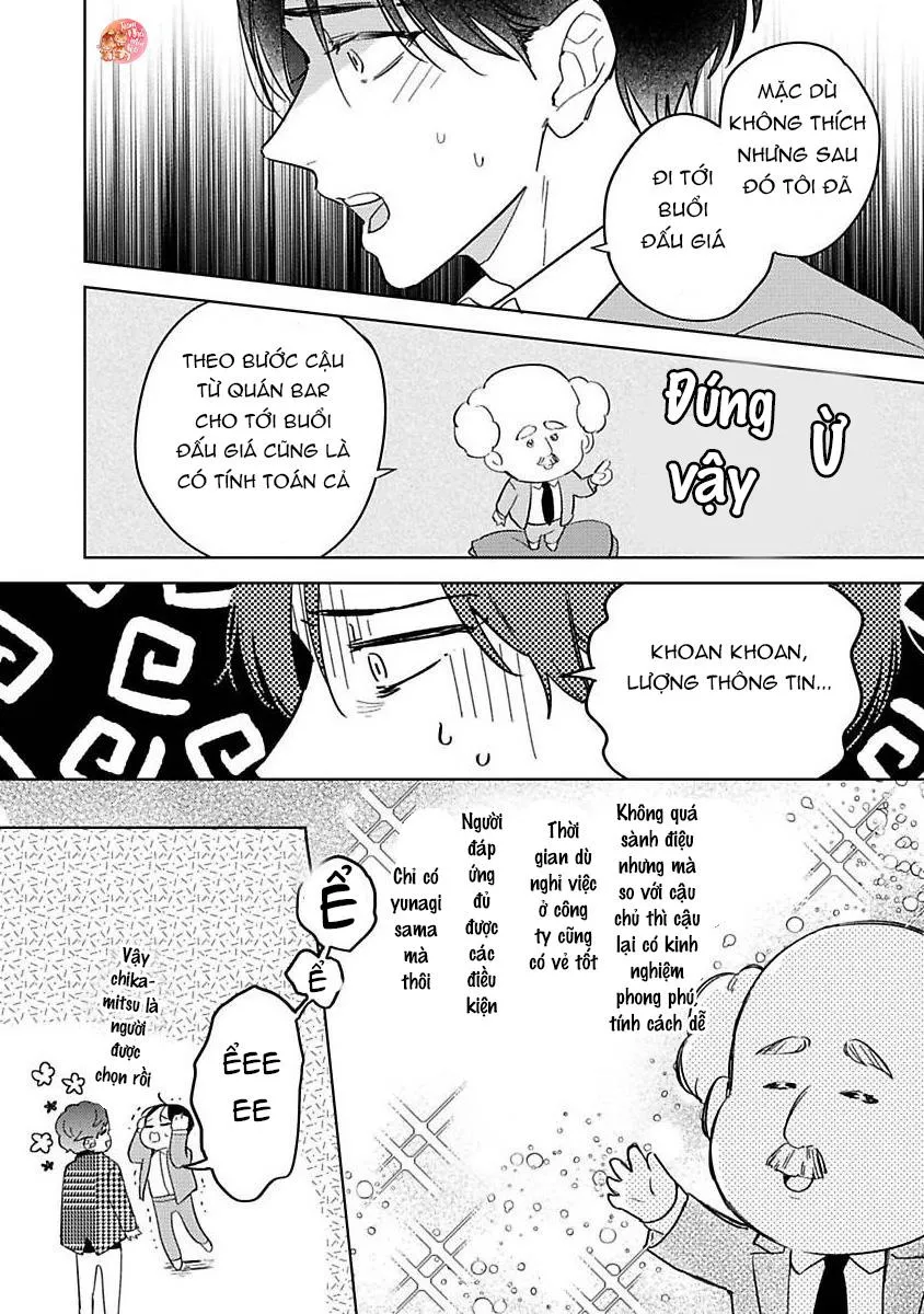 CUỘC TÌNH GIÁ CAO Chapter 5 Trang 13