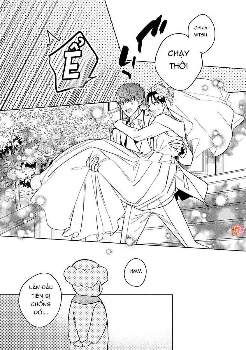 CUỘC TÌNH GIÁ CAO Chapter 5 Trang 17