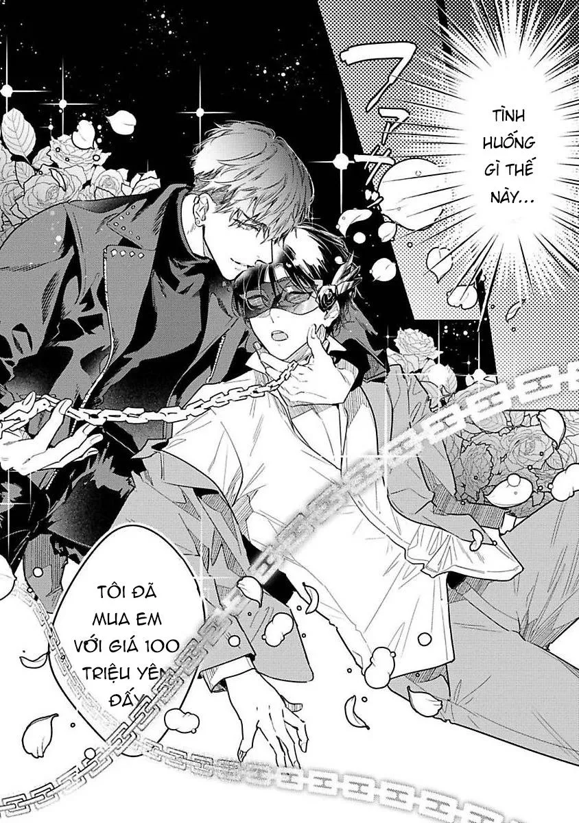 CUỘC TÌNH GIÁ CAO Chapter 1 Trang 4
