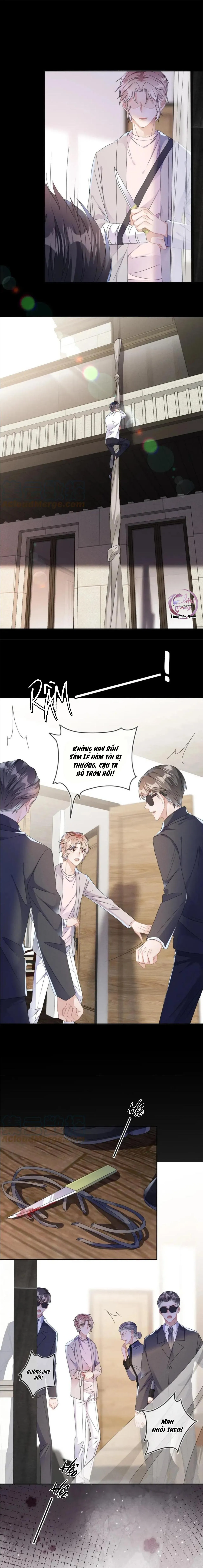 Cường Liệt Công Kích Chapter 42 Trang 3