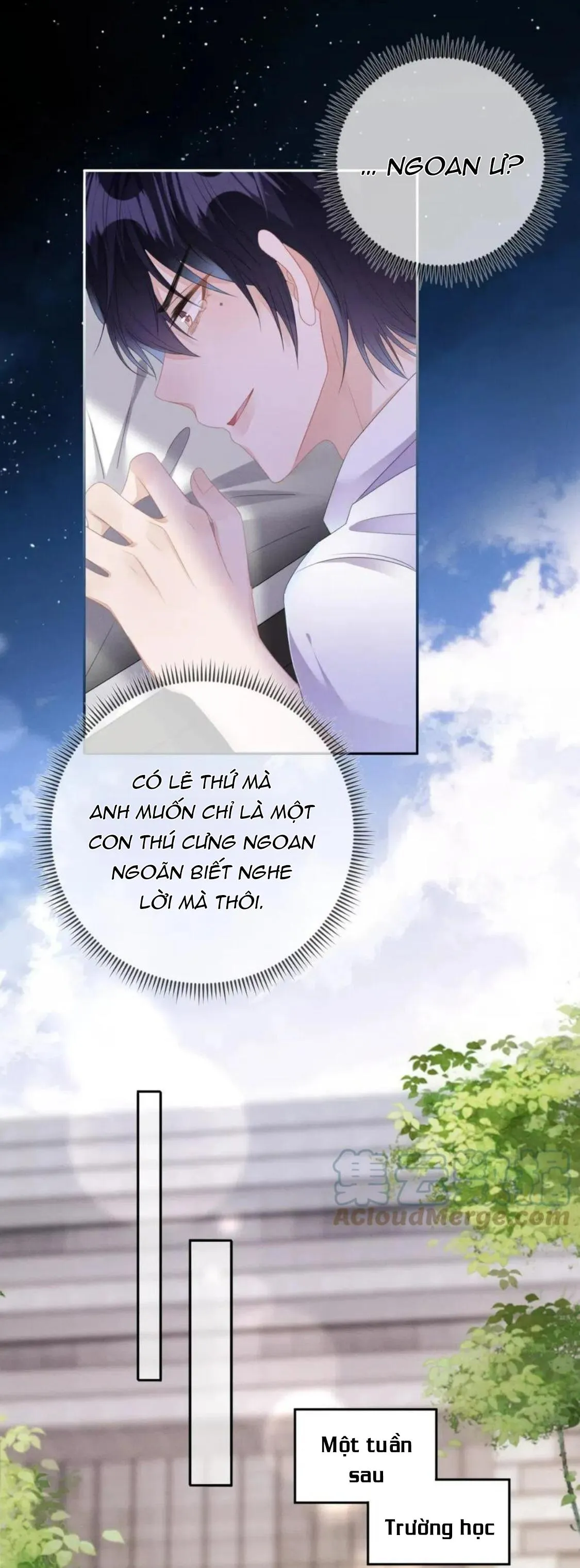 Cường Liệt Công Kích Chapter 52 Trang 11