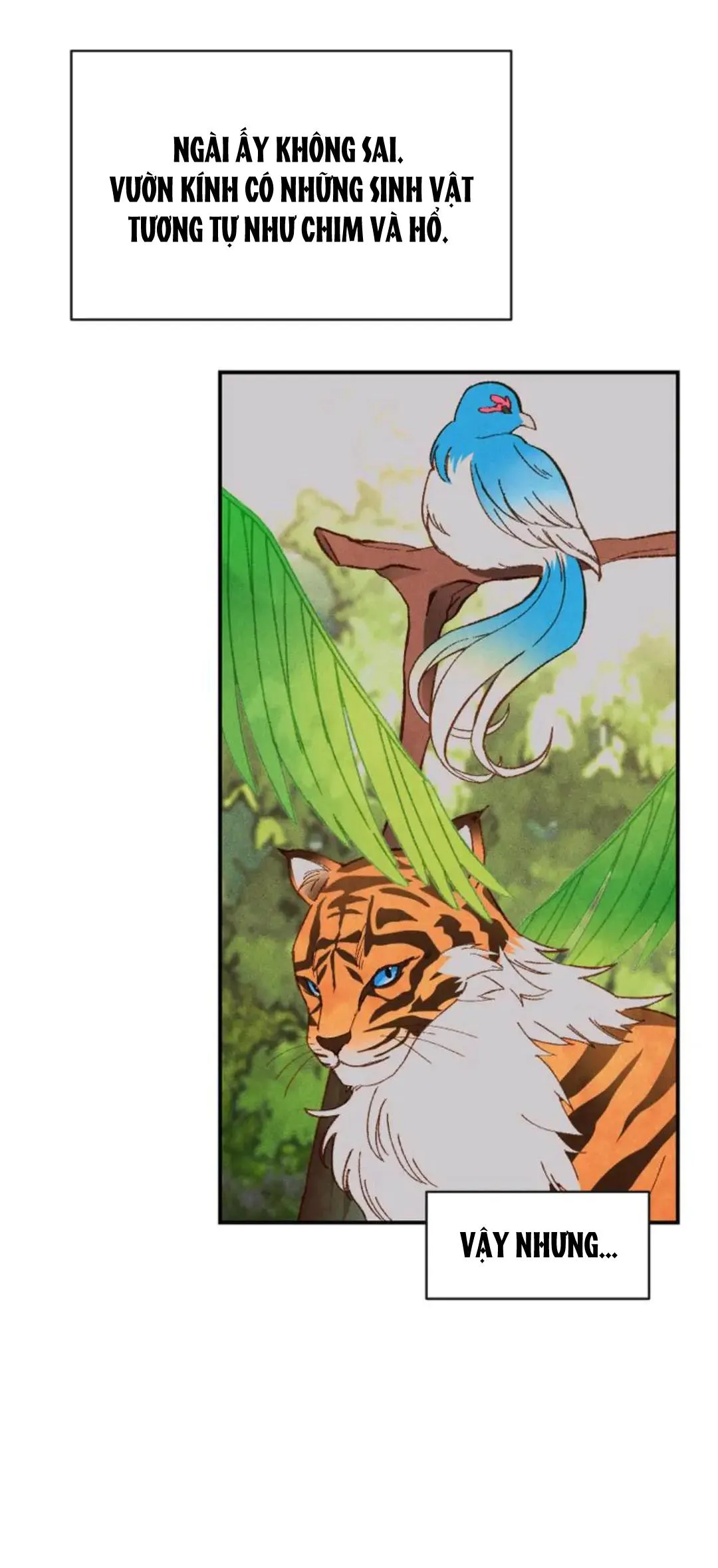 Cứu Rỗi Chapter 9 Trang 21