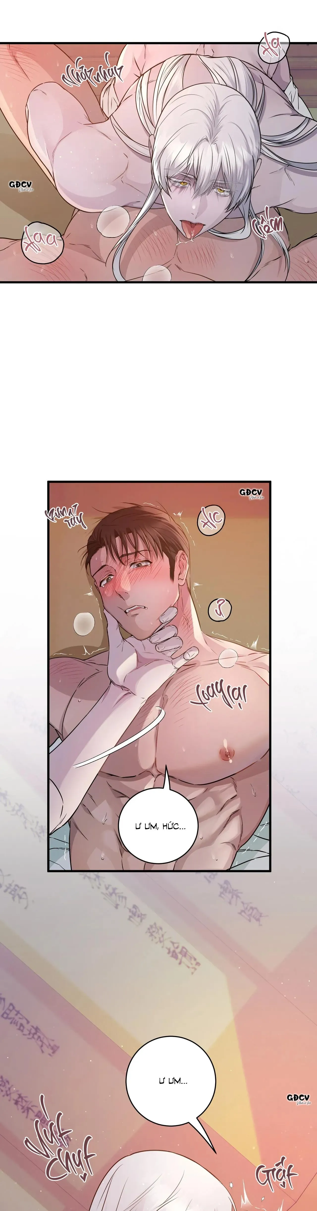 CỨU TINH CỦA RẮN Chapter 2 Trang 3