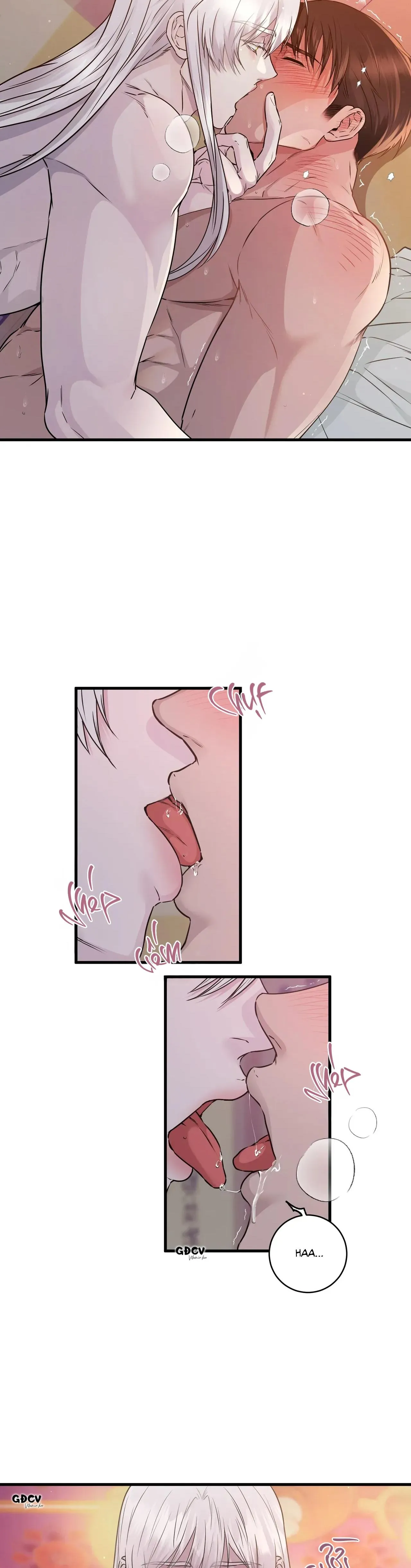 CỨU TINH CỦA RẮN Chapter 2 Trang 4