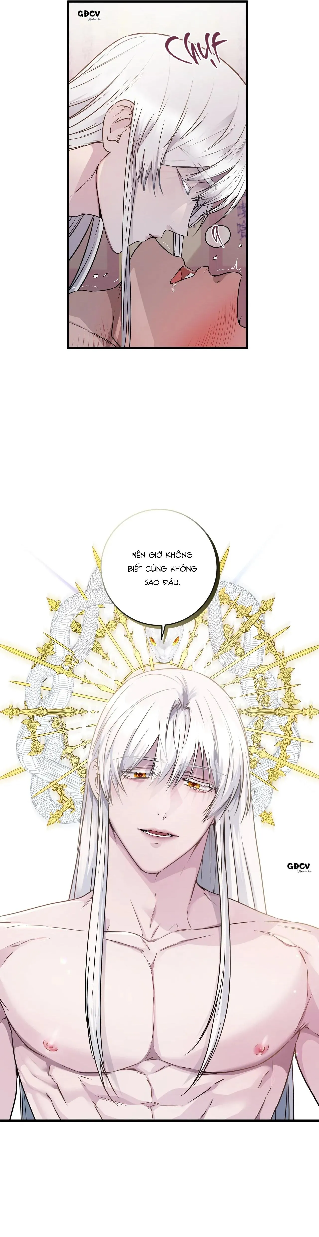 CỨU TINH CỦA RẮN Chapter 2 Trang 11