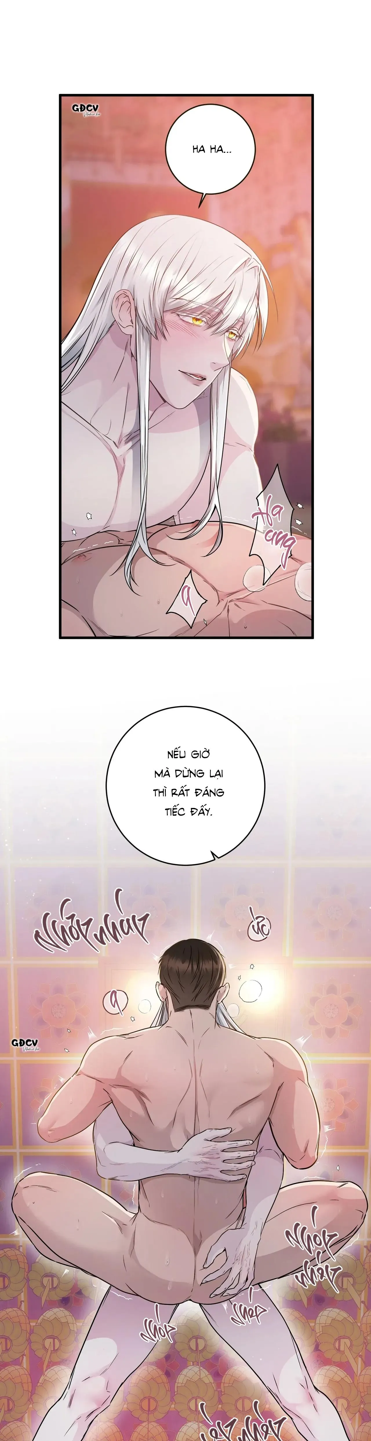 CỨU TINH CỦA RẮN Chapter 2 Trang 14